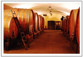 Vinearia Wine travel